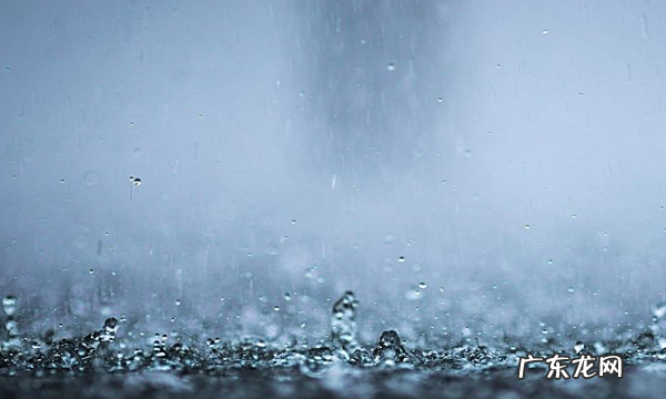 下雨地面上的泡泡怎么来的,为什么下雨地上有泡沫