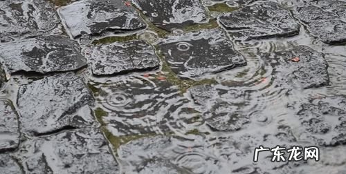 下雨地面上的泡泡怎么来的,为什么下雨地上有泡沫