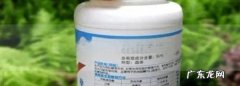 老式厕所蛆虫怎么杀死,厕所蛆虫怎么杀死