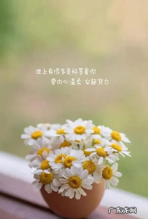 温柔 安静的句子,干净温柔的文案简短