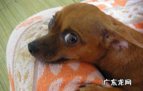 斜着眼睛看人是什么意思,侧目而视是什么意思