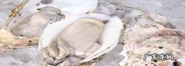 生蚝的保存方法是保鲜还是速冻,生蚝怎么存放保鲜还是冷冻 多久