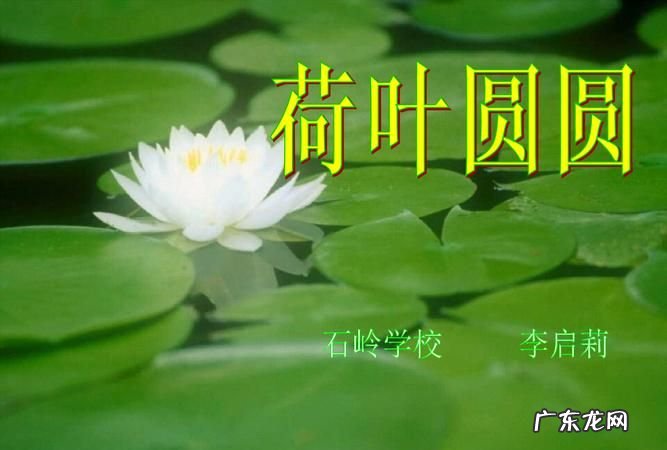 什么的凉伞填空词语,一年级语文下册荷叶圆圆生字组词
