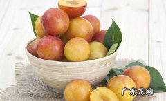 一个人一天可以吃几个李子,李子一天吃几个比较好