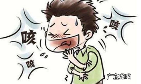 一个人一天可以吃几个李子,李子一天吃几个比较好