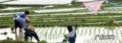 农忙是几月份,每年农忙是几月份