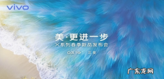 vivox27精英版有什么区别,vivox27参数配置