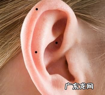 耳珠是哪个部位,耳珠是哪个部位