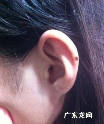 耳珠是哪个部位,耳珠是哪个部位