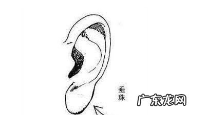 耳珠是哪个部位,耳珠是哪个部位