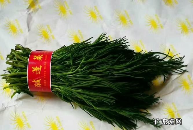 海蓬菜和碱蓬菜区别,海蓬菜和碱蓬菜区别