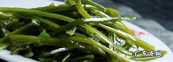 海蓬菜和碱蓬菜区别,海蓬菜和碱蓬菜区别