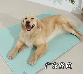 冰垫对身体有害,冰垫里的液体泄露会怎么样