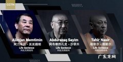 双泛思想是指什么,什么是双泛思想对学生的危害