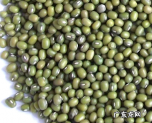 绿豆过期了可以吃,绿豆过期了几个月可以吃