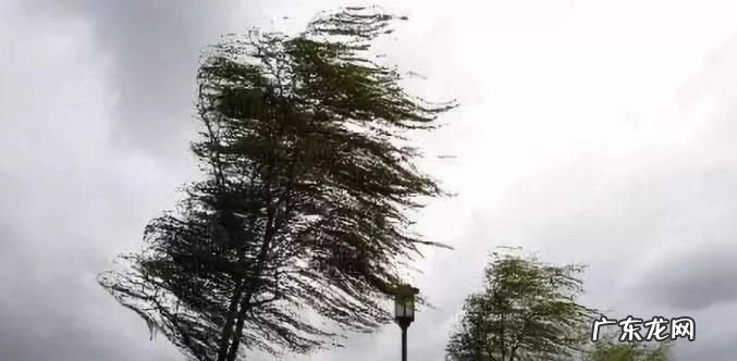 9级大风有多大,六七级大风有多大