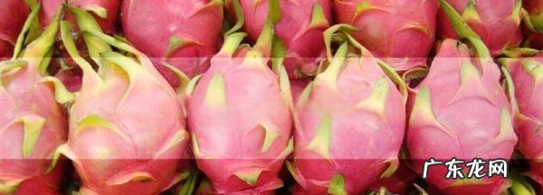 火龙果保存用不用去塑料袋,火龙果怎么保存能放时间长一点