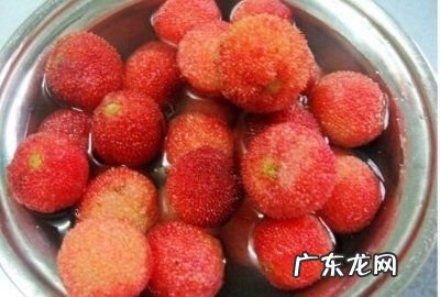 冰冻杨梅怎么做,怎么做冰冻杨梅窍门