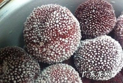 冰冻杨梅怎么做,怎么做冰冻杨梅窍门