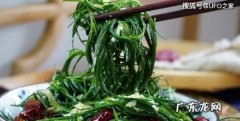 风滚草在中国叫什么菜,风滚草在中国怎么吃才好吃