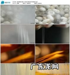 蚕丝吐丝是为了什么,吐蝉丝是为了什么