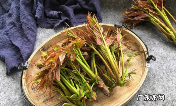 必须要焯水的五种蔬菜,需要焯水的食物有哪些
