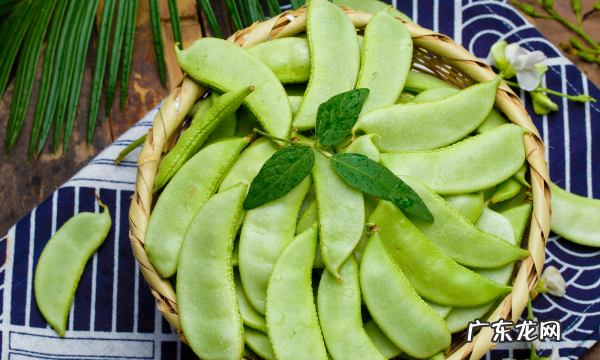 必须要焯水的五种蔬菜,需要焯水的食物有哪些