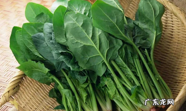 必须要焯水的五种蔬菜,需要焯水的食物有哪些