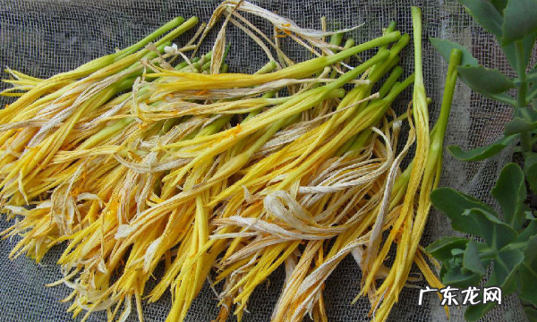 必须要焯水的五种蔬菜,需要焯水的食物有哪些