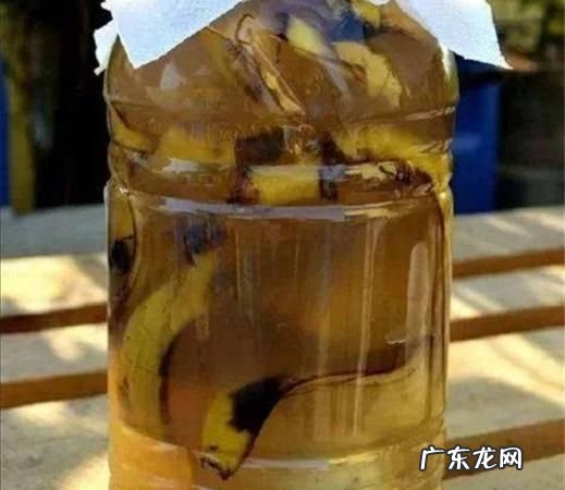 果皮发酵多久能浇花,水果皮泡水发酵多长时间才能浇菜
