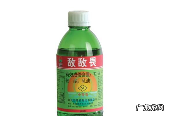 怎么消灭蜈蚣,有什么办法杀蜈蚣最有效