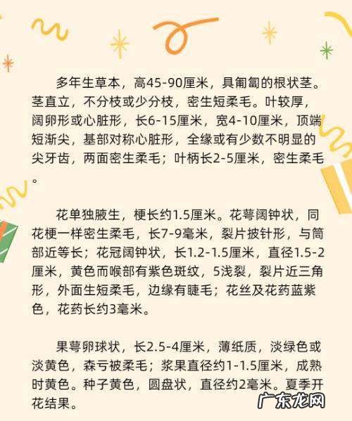 有一种水果叫什么姑娘,花姑娘是一种什么水果