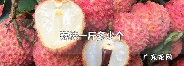 250g荔枝大概多少个,荔枝一斤多少个