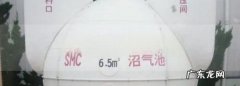 厕所刺鼻气味是沼气吗,下水道的气味是什么气体主要含有什么成分