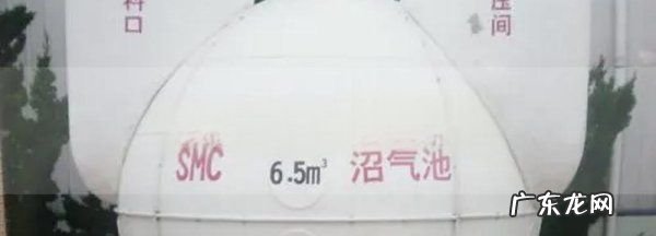 厕所刺鼻气味是沼气吗,下水道的气味是什么气体主要含有什么成分