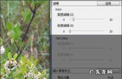 单反如何拍出raw格式,5d3如何设置raw和jpg共存