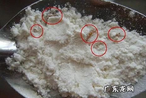 防止面粉生虫的小偏方,怎么预防面粉生虫的方法