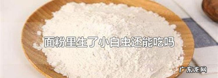防止面粉生虫的小偏方,怎么预防面粉生虫的方法