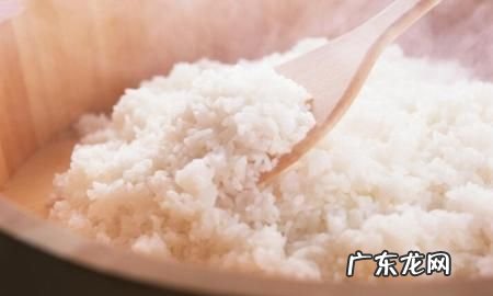 夏天米饭怎样保存不会馊,夏天带饭怎么保存可以不变质