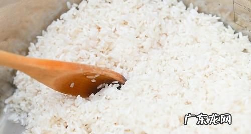 夏天米饭怎样保存不会馊,夏天带饭怎么保存可以不变质