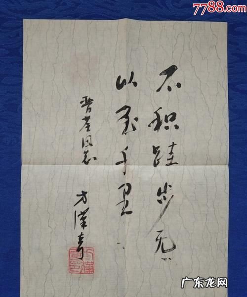 日积跬步以至千里是什么意思,不积跬步无以至千里的意思