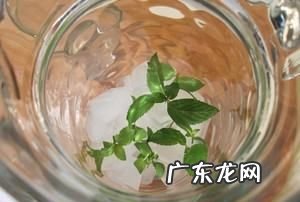 薄荷柠檬水的正确泡法,薄荷和柠檬能一起泡