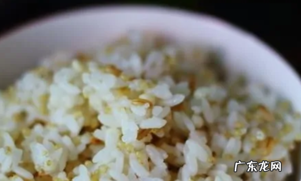 粗粮饭有哪些食材,控糖粗粮饭有哪些米