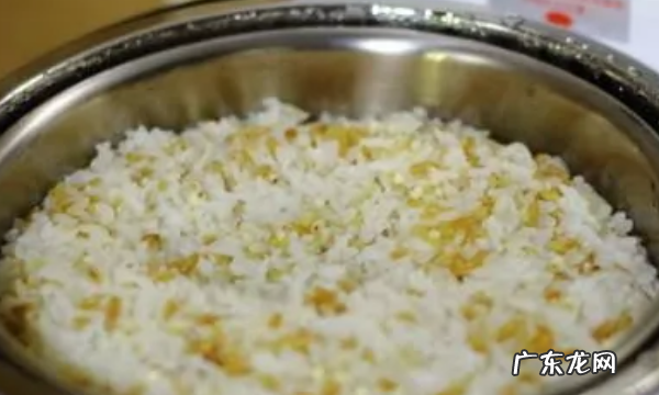 粗粮饭有哪些食材,控糖粗粮饭有哪些米