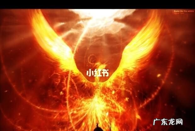 涅槃重生什么意思,涅槃重生啥意思