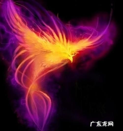 涅槃重生什么意思,涅槃重生啥意思