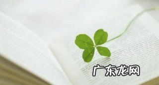 涅槃重生什么意思,涅槃重生啥意思
