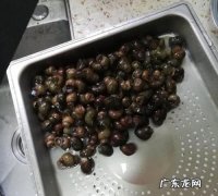 大螺丝可以吃吗,大螺丝可以吃