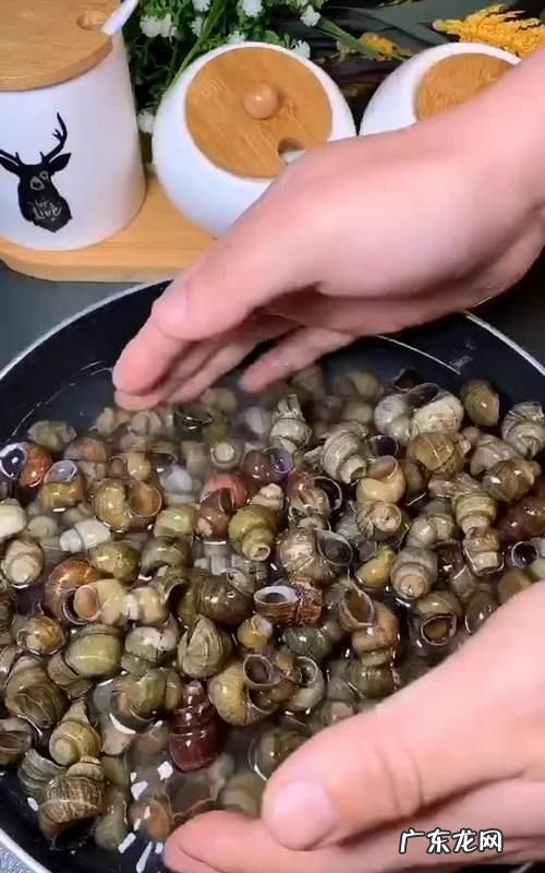 大螺丝可以吃吗,大螺丝可以吃