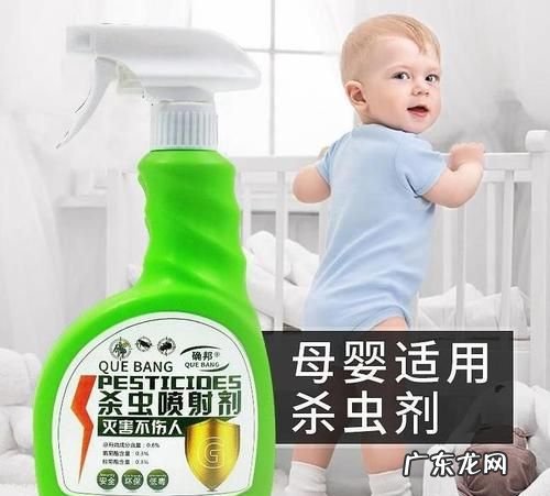 84能杀死鼻涕虫,84能杀死鼻涕虫